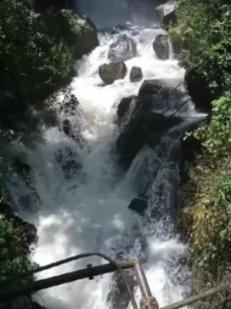 迪士尼魔法学校